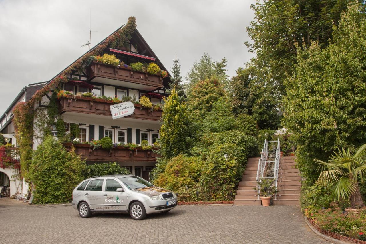 Landhotel Grimmeblick Winterberg Eksteriør bilde