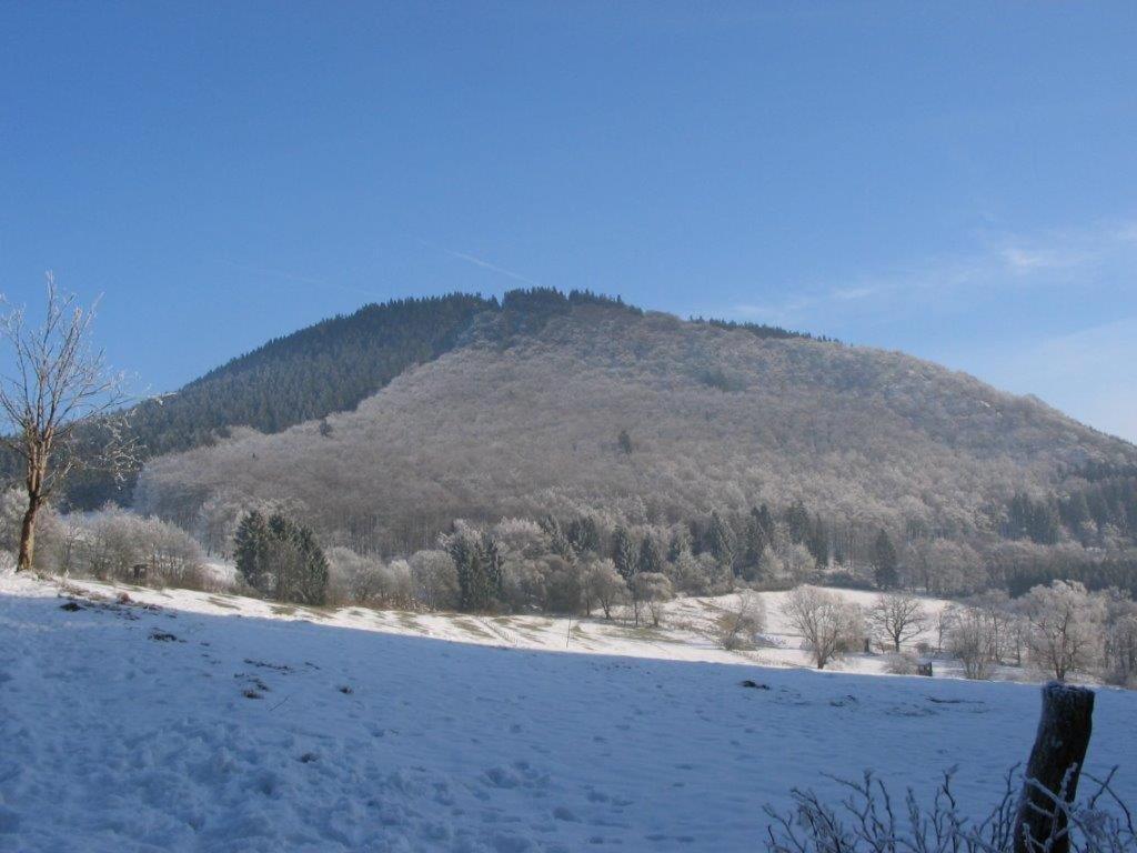 Landhotel Grimmeblick Winterberg Eksteriør bilde